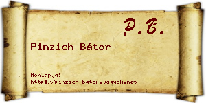 Pinzich Bátor névjegykártya